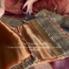 Heeramandi Edition Dyed Tissue Silk Saree with Lace Stitched Detailing - Image 5