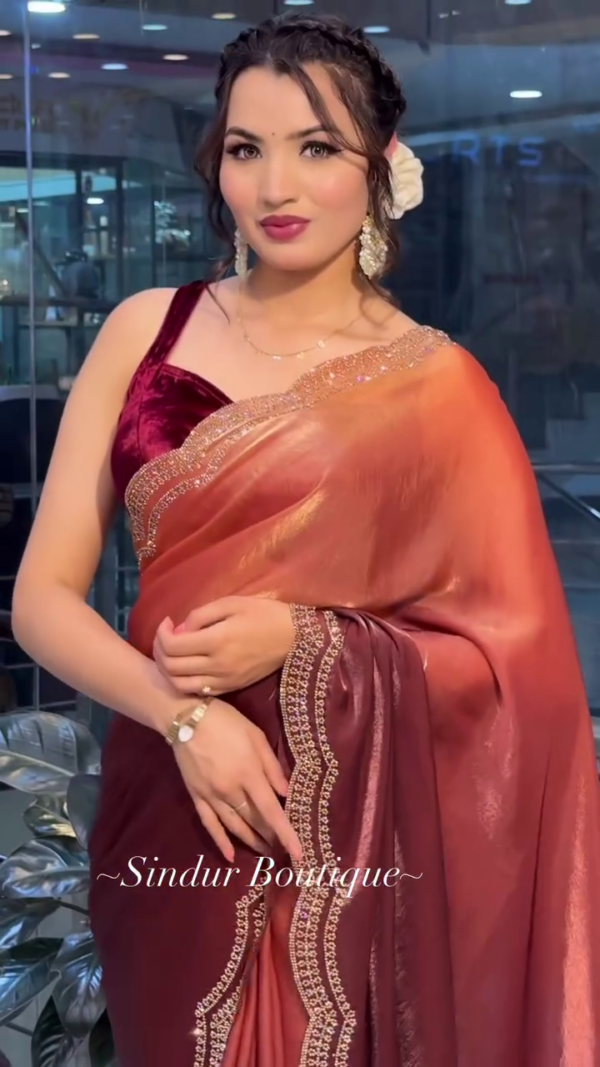 Luxe Rose Gold Velvet Saree with Shimmering Embellished Border - Image 4